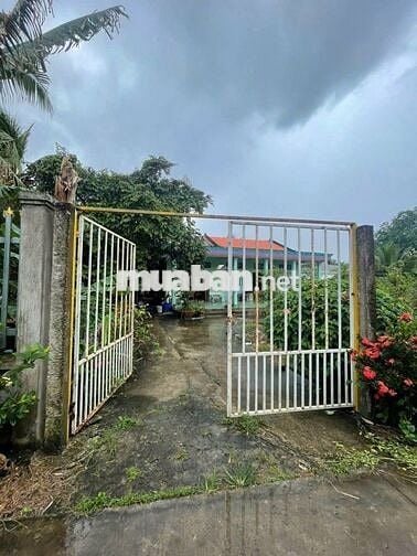 Căn nhà vườn 500m2 3PN ngay trung tâm Trảng Bàng 990 TRIỆU