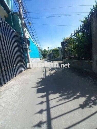 Căn nhà vườn 500m2 3PN ngay trung tâm Trảng Bàng 990 TRIỆU