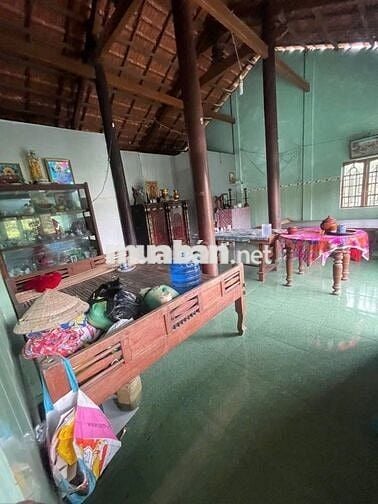 Căn nhà vườn 500m2 3PN ngay trung tâm Trảng Bàng 990 TRIỆU