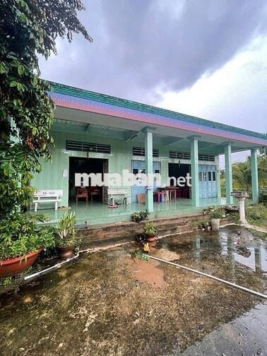 Căn nhà vườn 500m2 3PN ngay trung tâm Trảng Bàng 990 TRIỆU