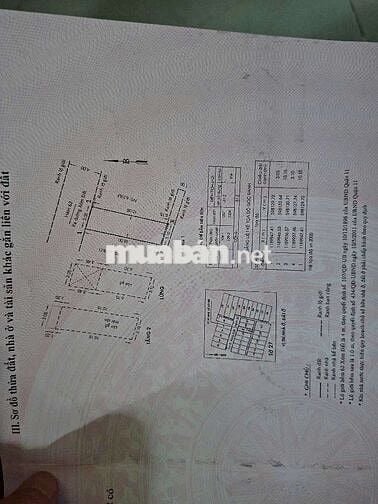 NHÀ 3 TẦNG NỞ HẬU TÀI LỘC ( 3,1m x 10m) XÓM ĐẤT P10 Q11