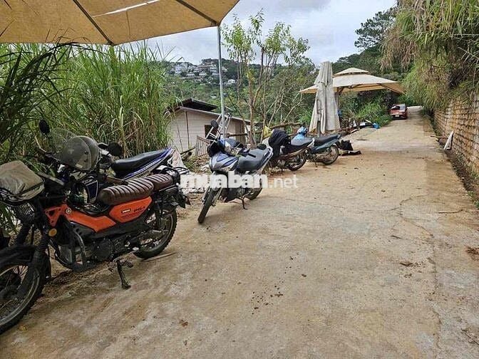CẦN BÁN GẤP ĐẤT NN SỔ HỒNG RIÊNG HẺM OTO TP ĐÀ LẠT