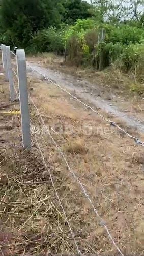 116m2 có thổ cư, gần chợ Phước Thạnh. Hơn 200tr. Tin nổi không 
