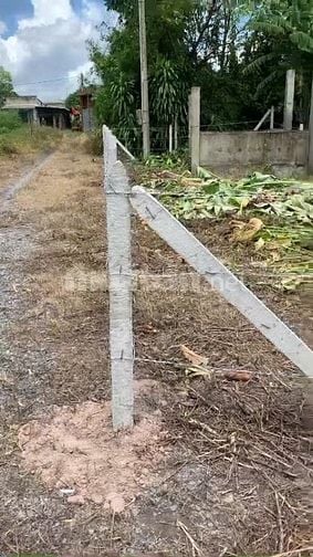 116m2 có thổ cư, gần chợ Phước Thạnh. Hơn 200tr. Tin nổi không 