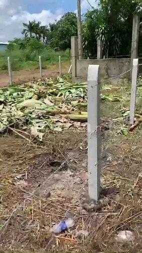 116m2 có thổ cư, gần chợ Phước Thạnh. Hơn 200tr. Tin nổi không 