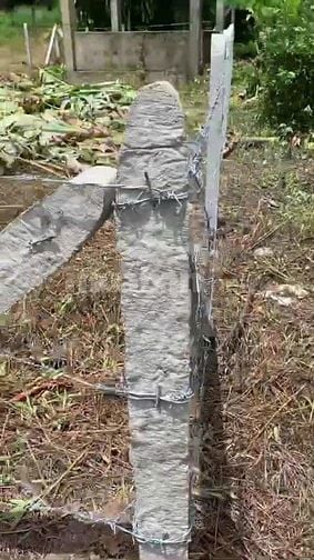 116m2 có thổ cư, gần chợ Phước Thạnh. Hơn 200tr. Tin nổi không 