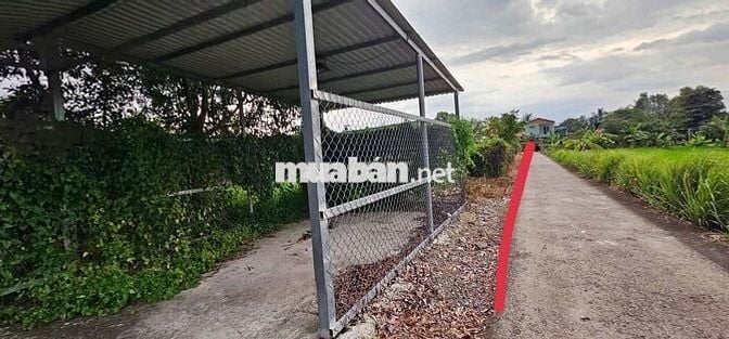 CỤC THỔ NỀN CAO GIÁ RÊ CÓ NHÀ TIỀN CHẾ