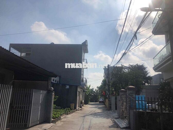 Đất 82m2 ngang 5m nở hậu, Văn Cú, An Đồng, An Dương 2,55 tỷ