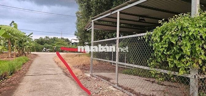 CỤC THỔ NỀN CAO GIÁ RÊ CÓ NHÀ TIỀN CHẾ