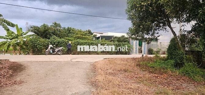 CỤC THỔ NỀN CAO GIÁ RÊ CÓ NHÀ TIỀN CHẾ