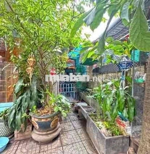 🏡 NHÀ VƯỜN 4 TẦNG - CÁCH 500M PHÚ MỸ HƯNG - KHU NHÀ CAO TẦNG 🏡