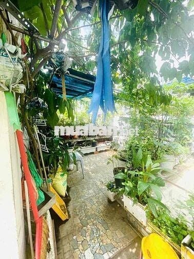 🏡 NHÀ VƯỜN 4 TẦNG - CÁCH 500M PHÚ MỸ HƯNG - KHU NHÀ CAO TẦNG 🏡