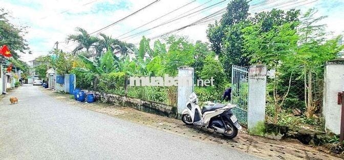 Đất gần làng Đại Học, P Bình An, Tp Dĩ An.