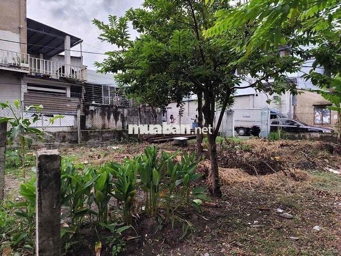 Đất gần làng Đại Học, P Bình An, Tp Dĩ An.