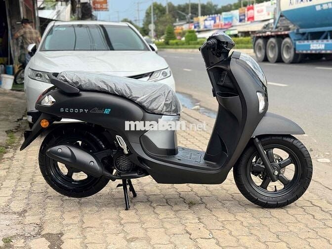Scoopy Thái New 100%