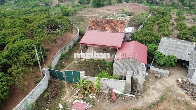 Đất nền lõi đô thị, phường Phượng Sơn