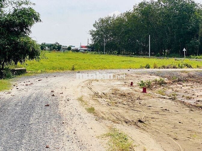 Đất thổ cư, sổ sẵn, đường thông. Ngay KCN Phước Đông. 310tr