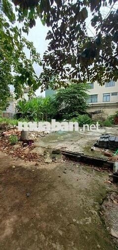 bán Lô đất biệt thự 10 x 20 vuông vức . kdc vĩnh Lộc bình tân tphcm