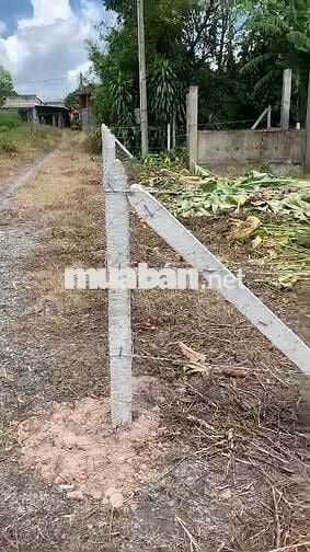 116m2 có thổ cư, gần chợ Phước Thạnh. Hơn 200tr. Tin nổi không
