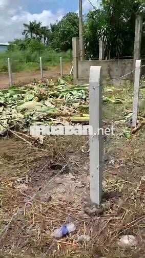 116m2 có thổ cư, gần chợ Phước Thạnh. Hơn 200tr. Tin nổi không