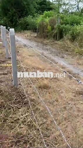 116m2 có thổ cư, gần chợ Phước Thạnh. Hơn 200tr. Tin nổi không
