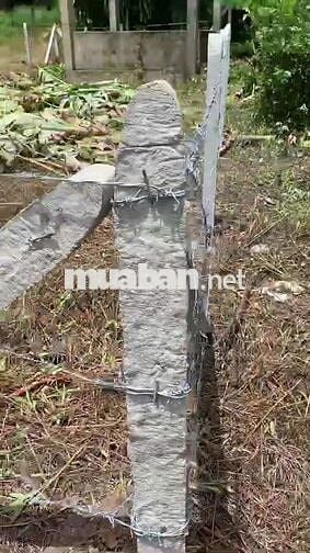 116m2 có thổ cư, gần chợ Phước Thạnh. Hơn 200tr. Tin nổi không