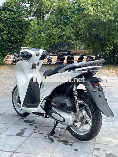 SH Siêu Lướt 2025 Chất _ Bảo Hành 3 Năm