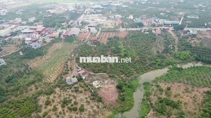Đất nền lõi đô thị, phường Phượng Sơn