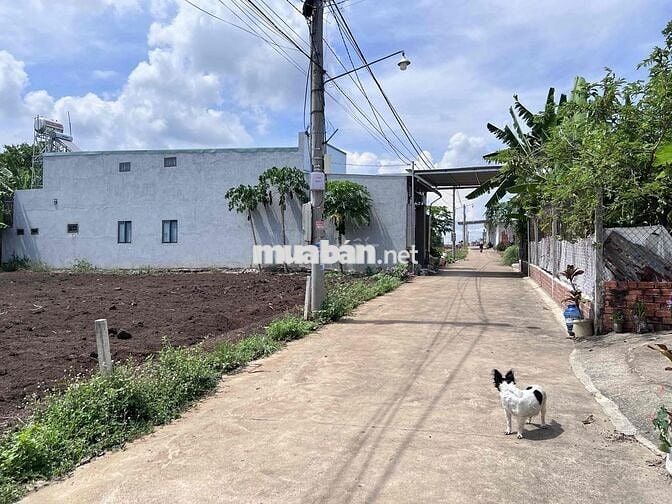 ĐẤT THỔ CƯ GẦN CHỢ UỶ BAN XÃ CẨM ĐƯỜNG 500m