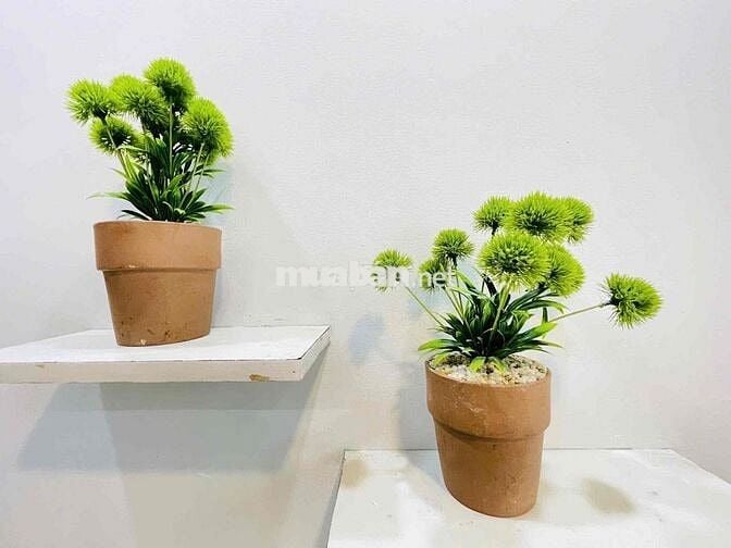 Phòng Studio cửa sổ thoáng, Full nội thất, Gần Cầu Đỏ Nguyễn Xí