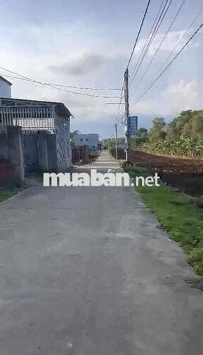 ĐẤT THỔ CƯ GẦN CHỢ UỶ BAN XÃ CẨM ĐƯỜNG 500m