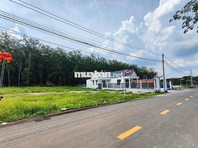 Cần bắn lô đất ở mặt tiền đường DH519