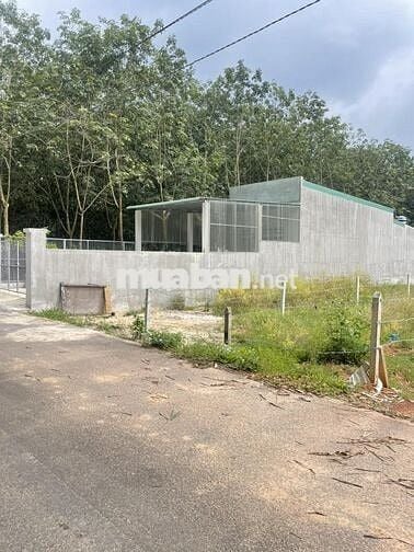 BÁN ĐẤT NGAY PHƯỜNG CHÁNH PHÚ HÒA – BẾN CÁT 1TY1/LÔ 208M2 THỔ CƯ 60M2