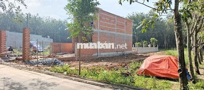 BÁN ĐẤT NGAY PHƯỜNG CHÁNH PHÚ HÒA – BẾN CÁT 1TY1/LÔ 208M2 THỔ CƯ 60M2
