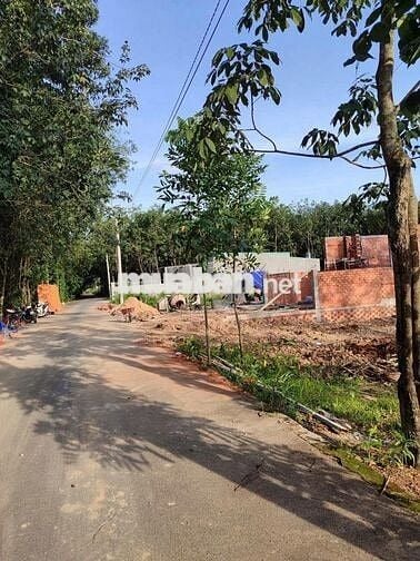 BÁN ĐẤT NGAY PHƯỜNG CHÁNH PHÚ HÒA – BẾN CÁT 1TY1/LÔ 208M2 THỔ CƯ 60M2