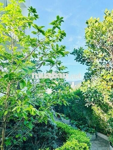 CHO THUÊ VILLA SIÊU ĐẸP NGẮM TOÀN VỊNH NHA TRANG 5 PHÒNG NGỦ