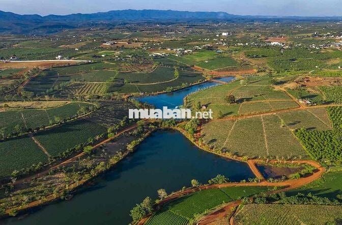 Lô 240m2 ngang 10m sổ hồng thổ cư,phường2,Bảo Lộc ngay Tâm Châu Resort