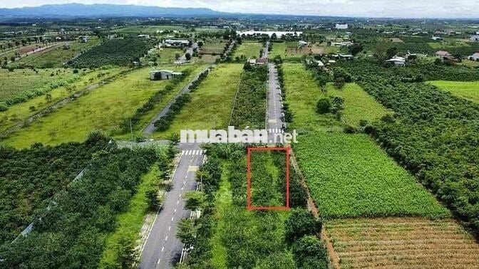 Lô 240m2 ngang 10m sổ hồng thổ cư,phường2,Bảo Lộc ngay Tâm Châu Resort