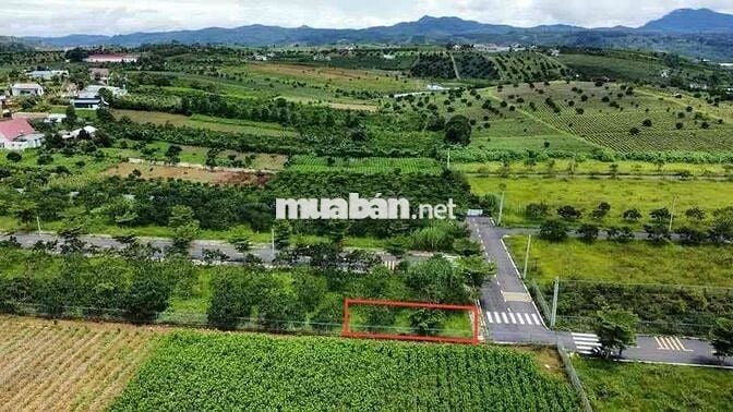 Lô 240m2 ngang 10m sổ hồng thổ cư,phường2,Bảo Lộc ngay Tâm Châu Resort