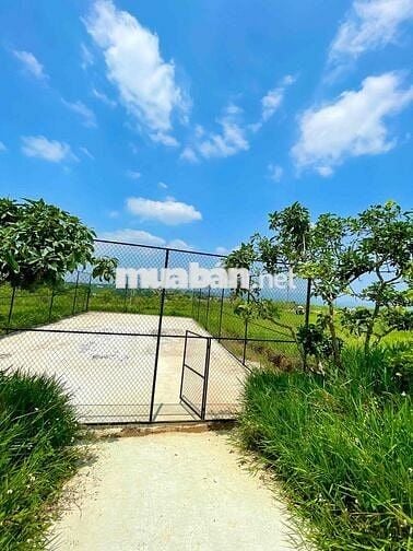 Lô 240m2 ngang 10m sổ hồng thổ cư,phường2,Bảo Lộc ngay Tâm Châu Resort