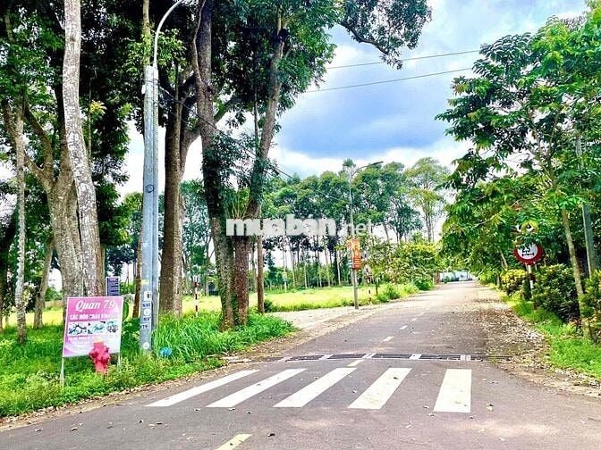 MẶT TIỀN ĐƯỜNG NHỰA PHƯỜNG BÌNH LỘC  (LONG KHÁNH)