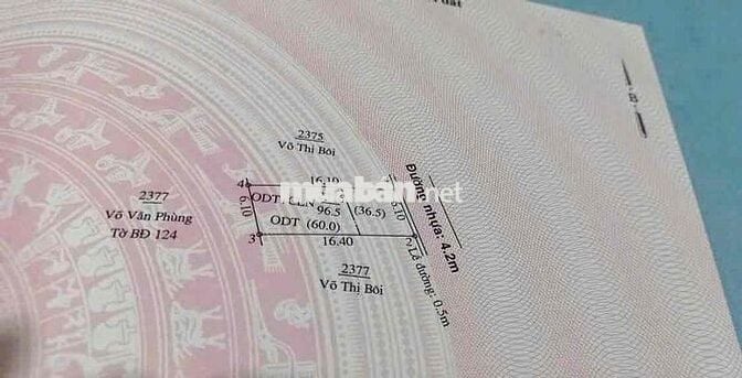 1.65 tỏi / DX 132 tân an chủ ngộp bank
