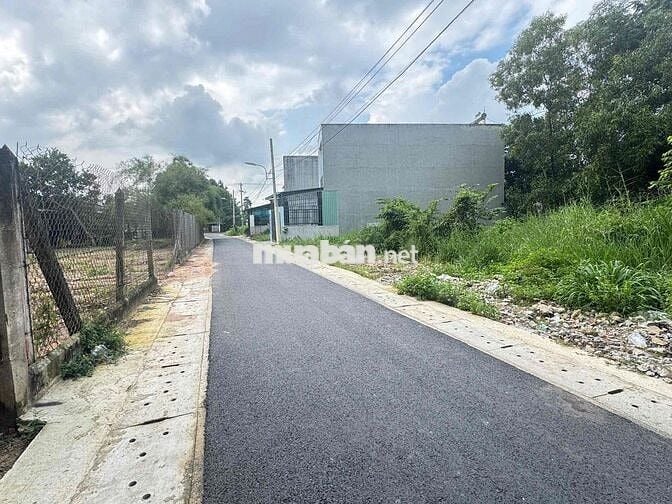 1.65 tỏi / DX 132 tân an chủ ngộp bank