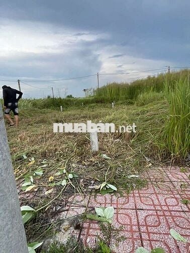 Chính chủ bán Đất khu dân cư Phước Đông