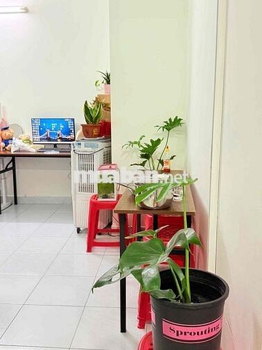 Chung cư tân phước plaza 1+1 phòng đẹp, tầng trung, view thoáng