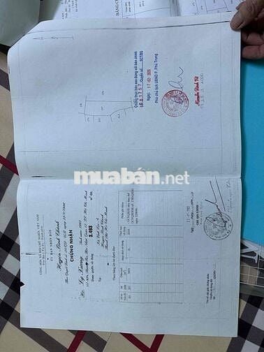 Lô đất chính chủ thông 2 hẻm xe hơi nở hậu giá tốt