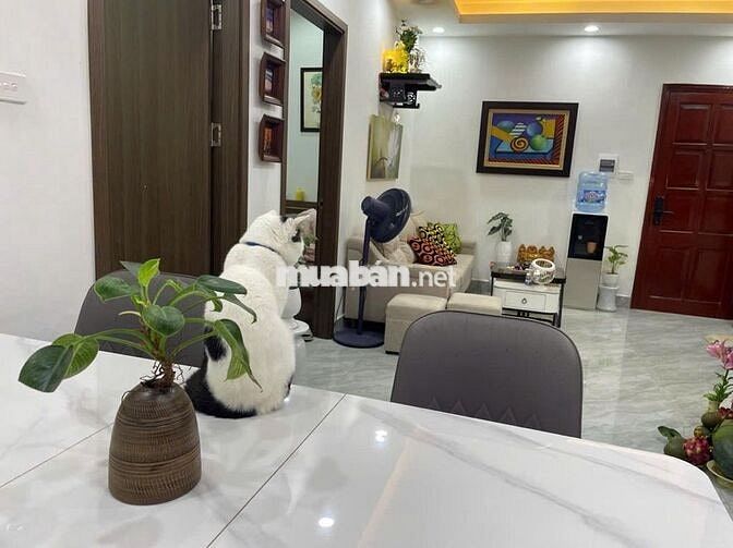 Chính chủ bán CH toà N2C, 59m2, 2N,2WC, giá 5.75 tỷ