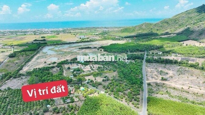 SIÊU PHẨM THỊ TRẤN PHƯỚC HẢI -  ĐỐI DIỆN HỒ SỞ BÔNG- VIEW NÚI