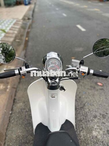 crea vinsky 50cc