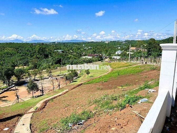 Lô cặp liền kề 406m2 ngang 12m2 sẵn hạ tầng đẹp đường nhựa8m sổ hồng